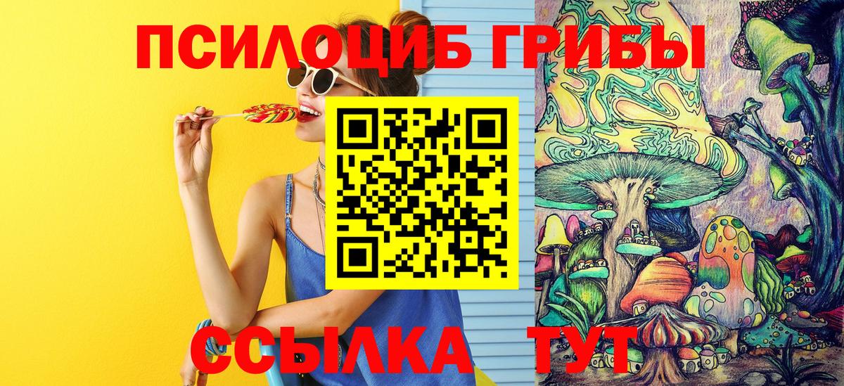 Псилоцибиновые грибы Psilocybine cubensis  Вход с VPN  Добрянка 